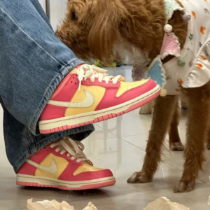 Giay Nike Dunk Low GS 'Strawberry Peach' DH9765-200