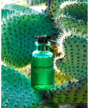 Alternative view of Nước Hoa Unisex Louis Vuitton Cactus Garden EDP 100ml