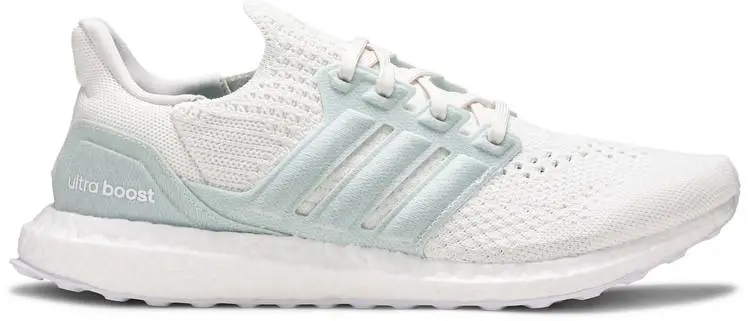 Giày Adidas Parley x UltraBoost 6.0 DNA 'Non Dyed' FZ0250