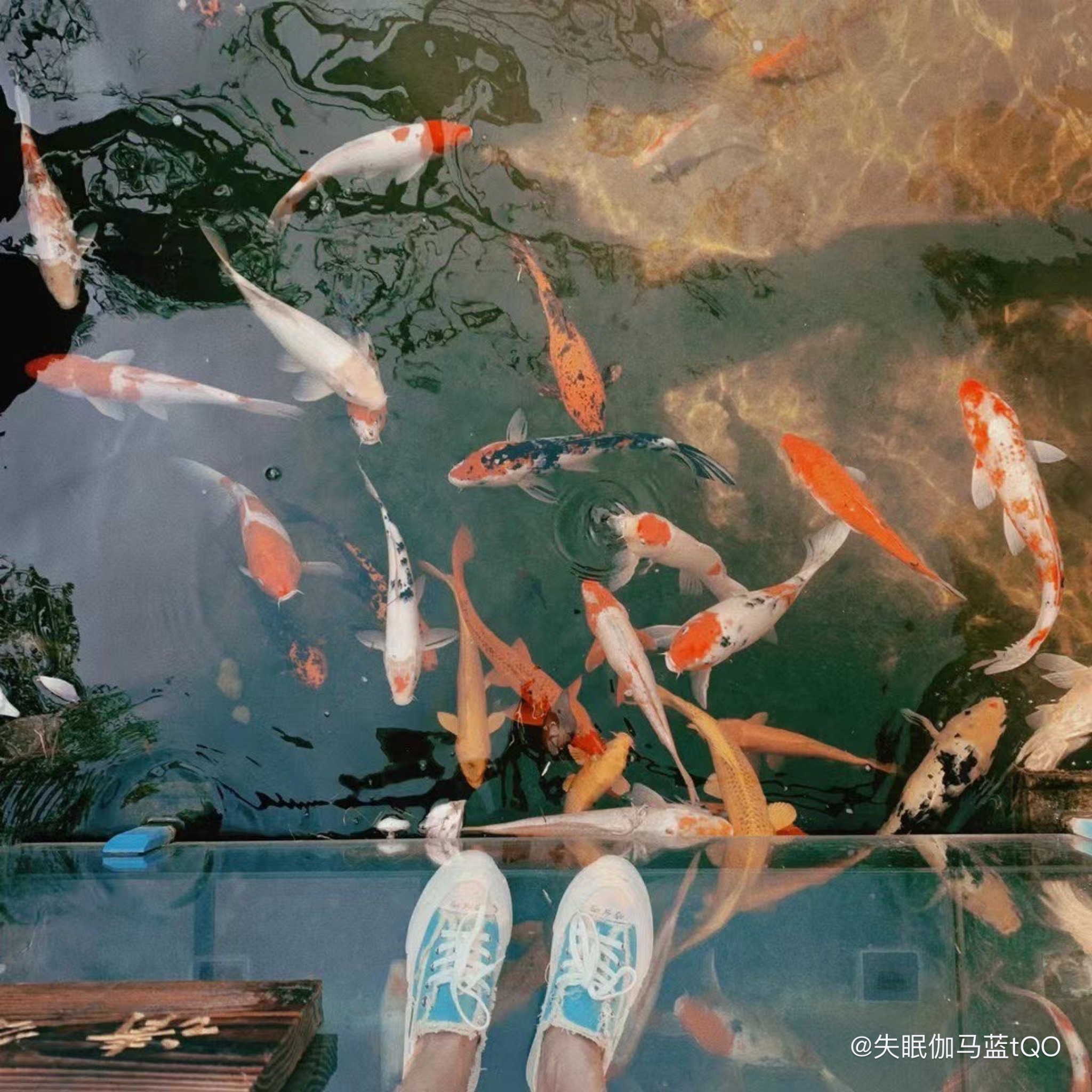 Giày xVESSEL G.O.P Slip On Blue S21X17B - Ảnh 5