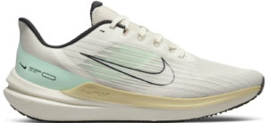 Giay Nike Winflo 9 Light Bone Mint Foam Sail 'White Cream' DV9121-011