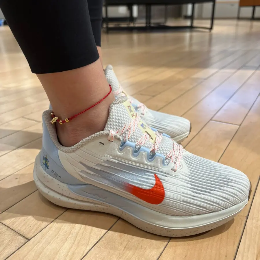 Giay Nike Air Winflo 9 Sail 'White' DX6048-181