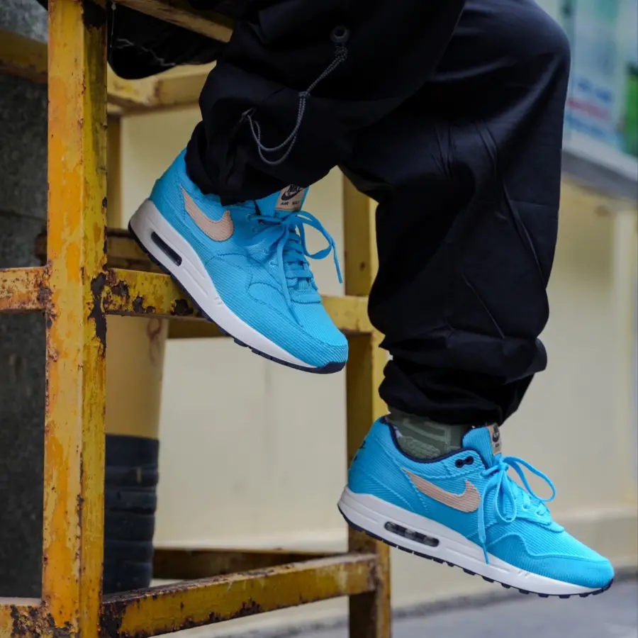 Giay Nike Air Max 1 Premium 'Corduroy' FB8915-400
