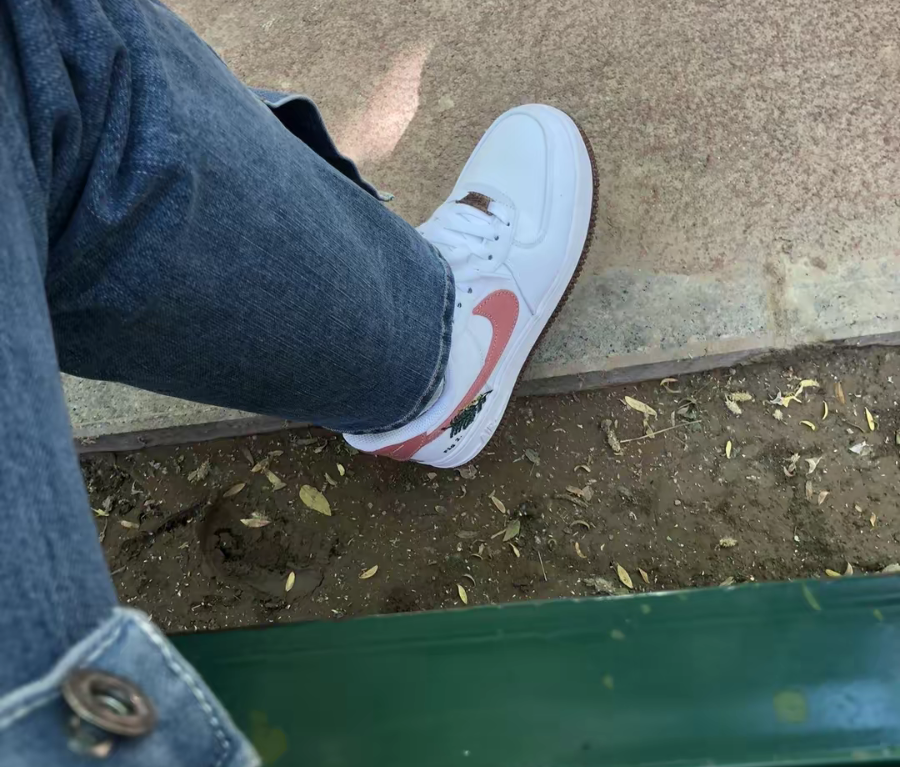 Giày Nike Wmns Air Force 1 Low SE 'Catechu' CZ0269-101 - Ảnh 5