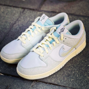 Giay Nike Dunk Low SE 'Chinook Salmon' DV7210-001