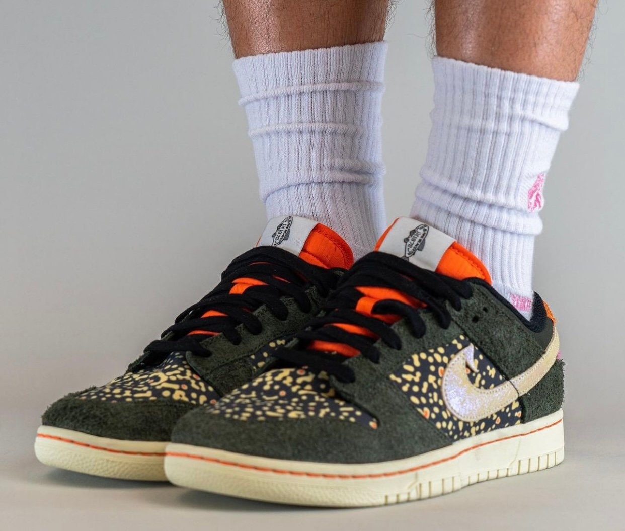 Giay Nike Dunk Low SE 'Rainbow Trout' FN7523-300