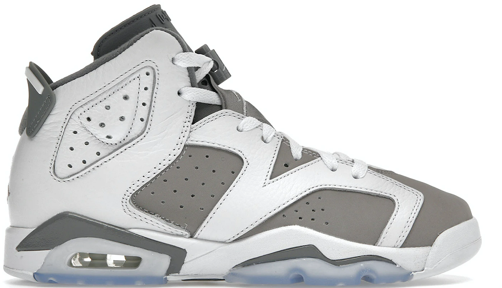 Giay Nike Air Jordan 6 Retro 'Cool Grey' 384665-100