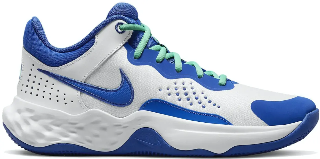 Giay Nike Fly.By Mid 3 'White Game Royal' DD9311-102
