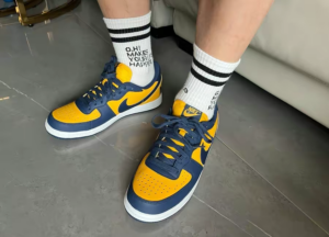 Giay Nike Terminator Low 'University Gold Navy' FJ4206-700