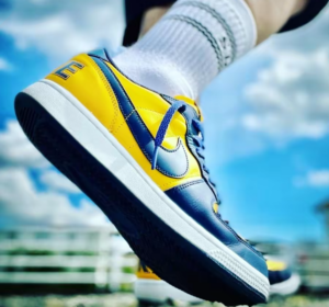 Giay Nike Terminator Low 'University Gold Navy' FJ4206-700
