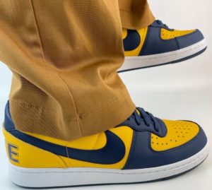 Giay Nike Terminator Low 'University Gold Navy' FJ4206-700