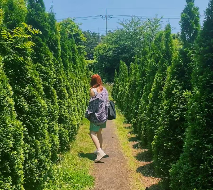 Giay Nike Terminator High 'Be True' FD8638-100