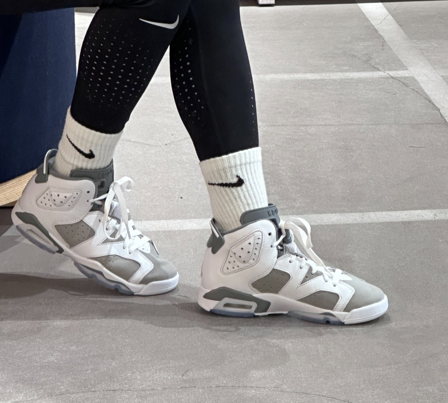 Giay Nike Air Jordan 6 Retro 'Cool Grey' 384665-100