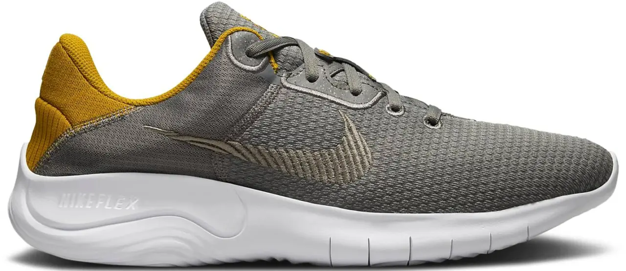Giay Nike Flex Experience Run 11 'Grey' DD9284-009