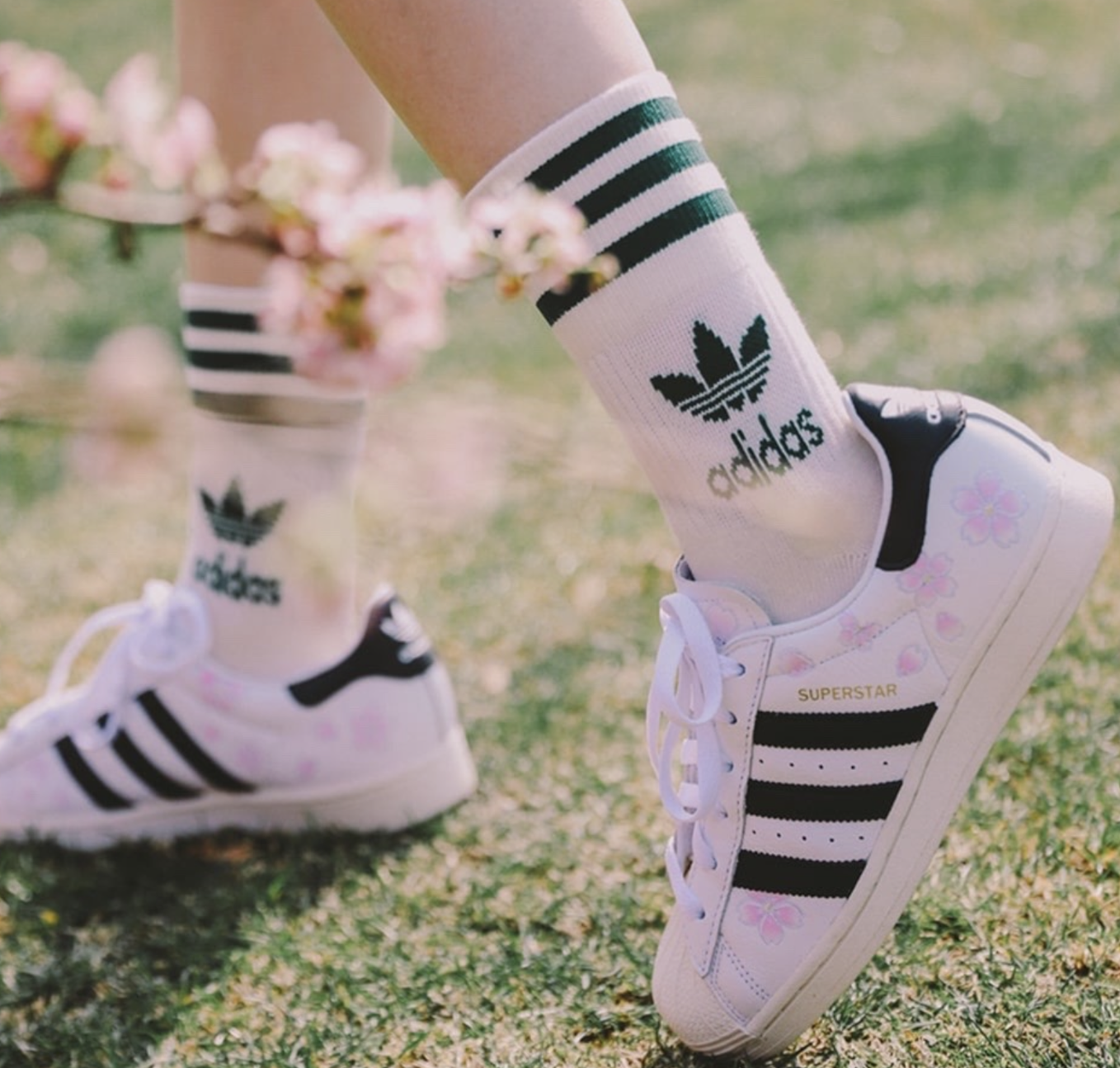 Giay Adidas Superstar 'Hanami' IG9648