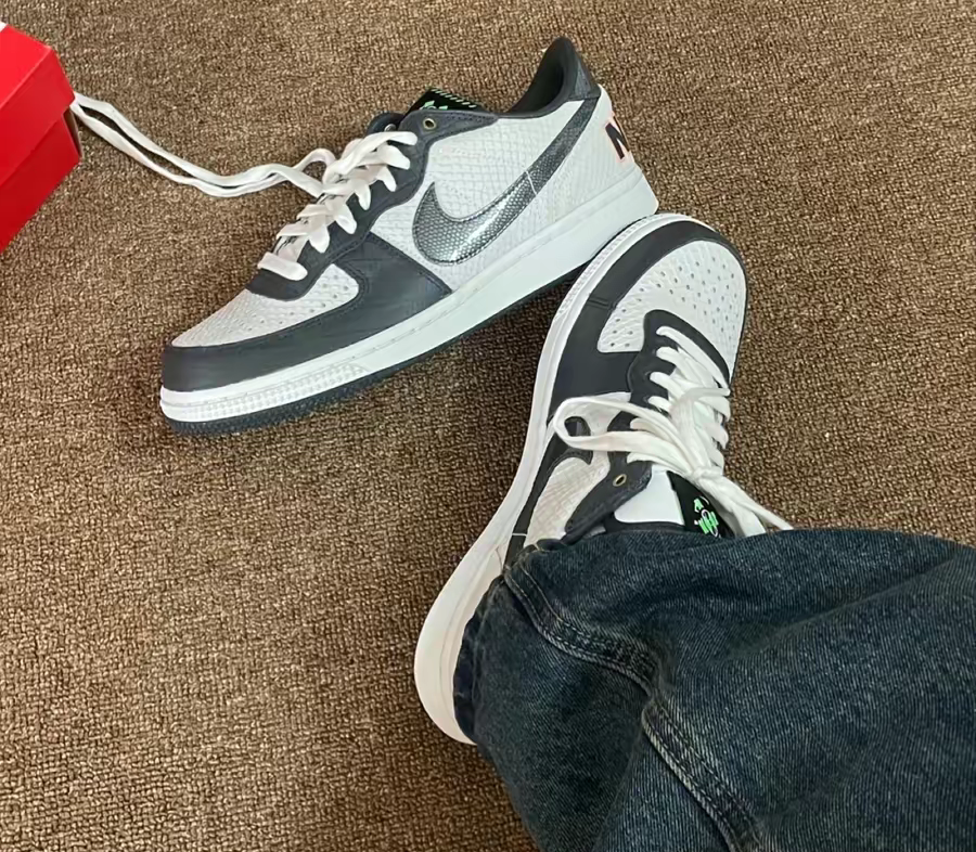 Giay Nike Terminator Low 'Reptile' FN9331-191