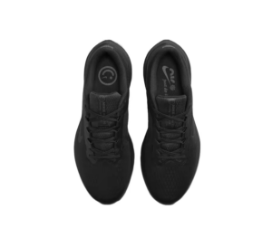 Giay Nike Winflo 10 'Black' DV4022-001