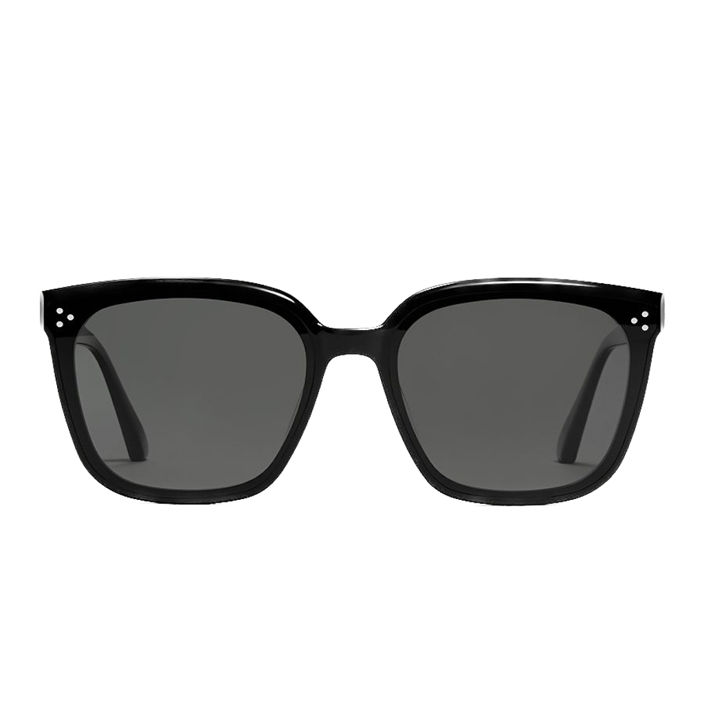 Kinh Gentle Monster Palette 01 'Black'