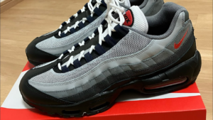 Giay Nike Air Max 95 'Black' DM0011-007