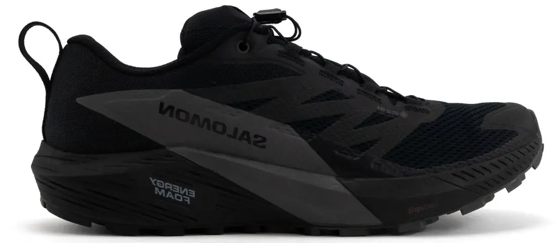 Giay Salomon Sense Ride 5 GTX 'Black' L47147200