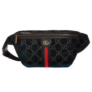 Tui Gucci Belt Bag 'Web' 574968-GZ8BT-4169