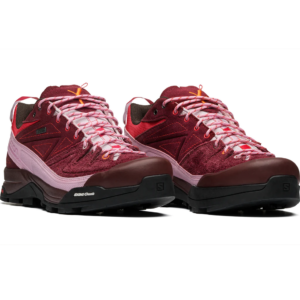 Giay Salomon X-Alpages Gore-Tex 'The Broken Arm' L47346100