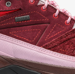 Giay Salomon X-Alpages Gore-Tex 'The Broken Arm' L47346100