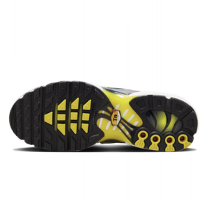 Giay Nike Air Max Plus 'Plum Yellow' FN8007-500