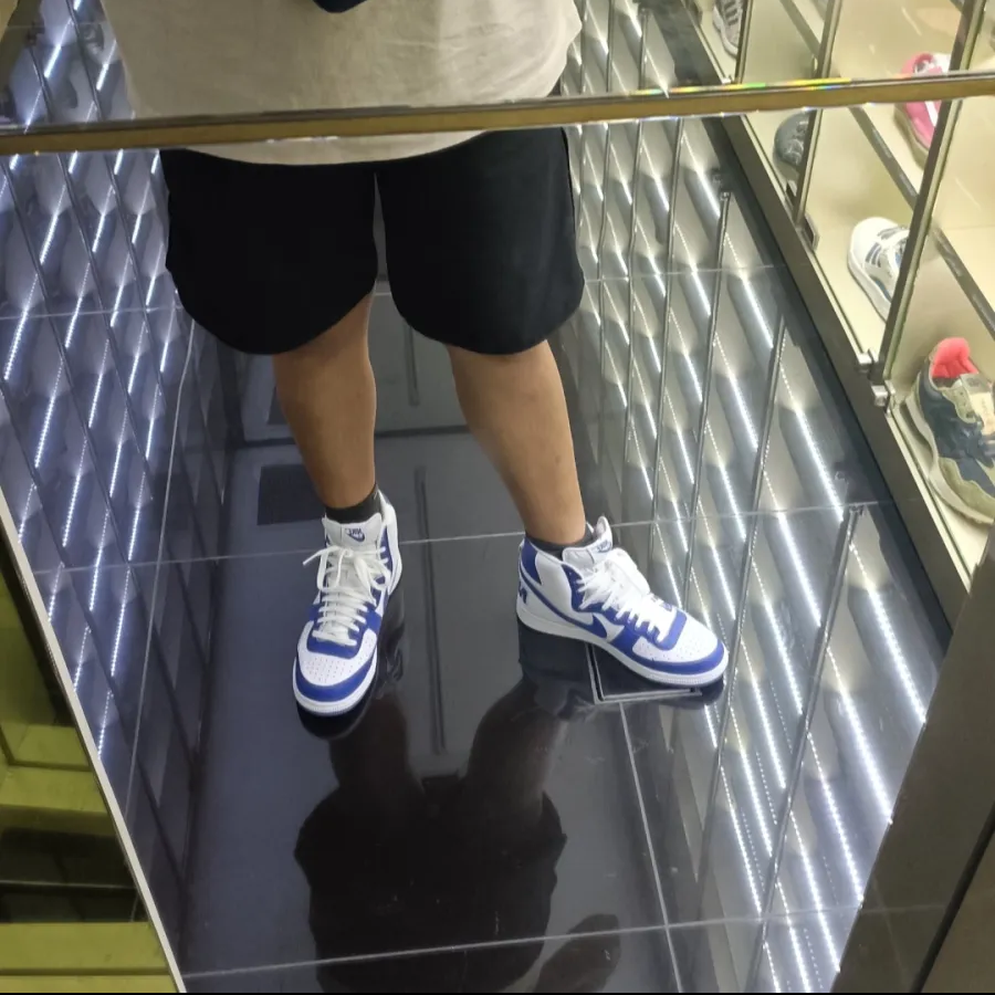 Giay Nike Terminator High 'Game Royal' FN6836-100