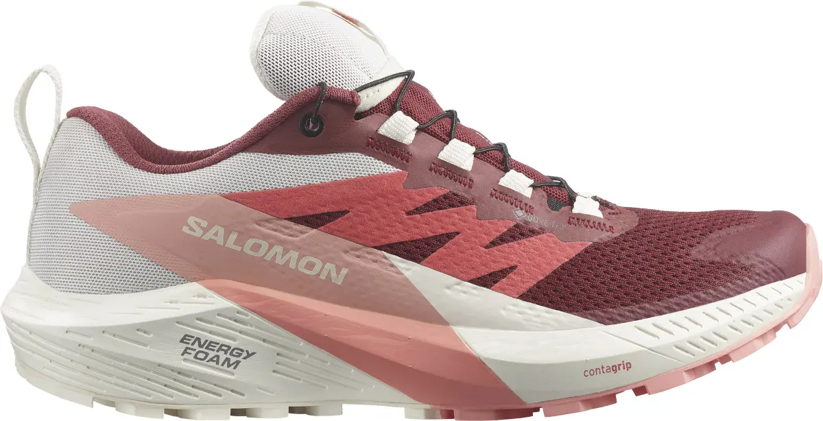 Giay Salomon Sense Ride 5 'Bunt' L47314500