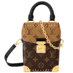 Tui Louis Vuitton Camera Box 'Brown' M82465
