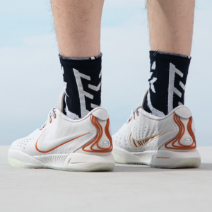Giay Nike LeBron 21 'Akoya' FV2346-001