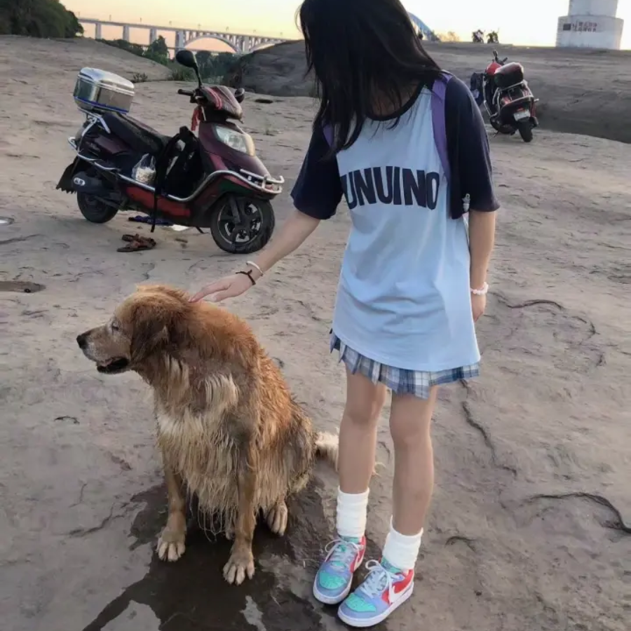 Giay Nike Court Borough Low 'Track Red' DV5456-400