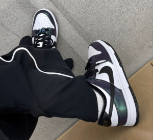 Giay Nike Dunk Low SE ‘Just Do It Iridescent’ FQ8143-001