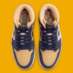 Giay Nike Air Jordan 1 Element Gore-Tex 'Sky J Purple' DB2889-501