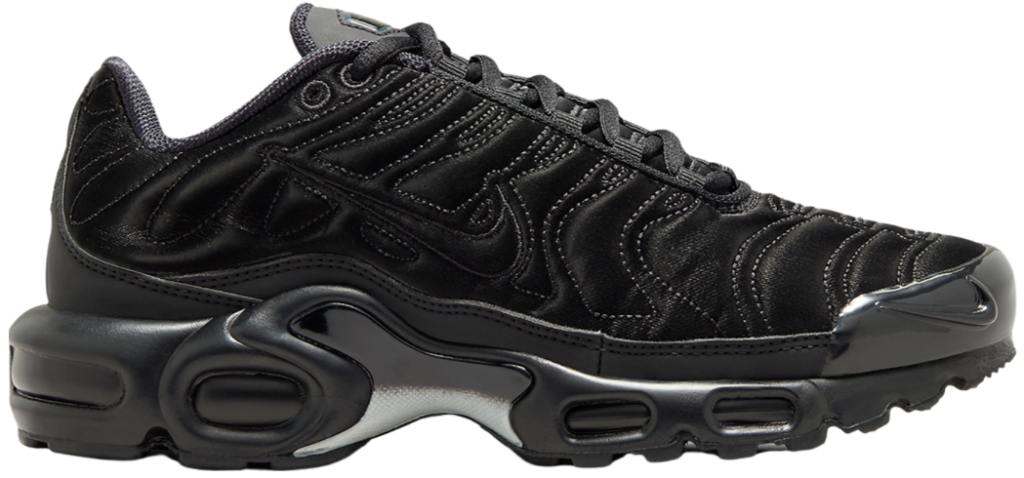 Giay Nike Air Max Plus 'Black Anthracite Sail' FV1169-001