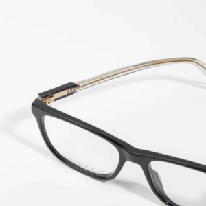 Kinh Gucci Eyeglasses 'Frames' GG0490O-005
