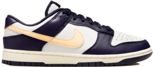 Giay Nike Dunk Low 'From Nike To You' FV8106-181