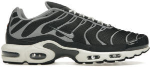 Giay Nike Air Max Plus 'Greyscale Cool Grey' DZ2655-001