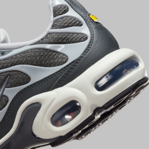 Giay Nike Air Max Plus 'Greyscale Cool Grey' DZ2655-001