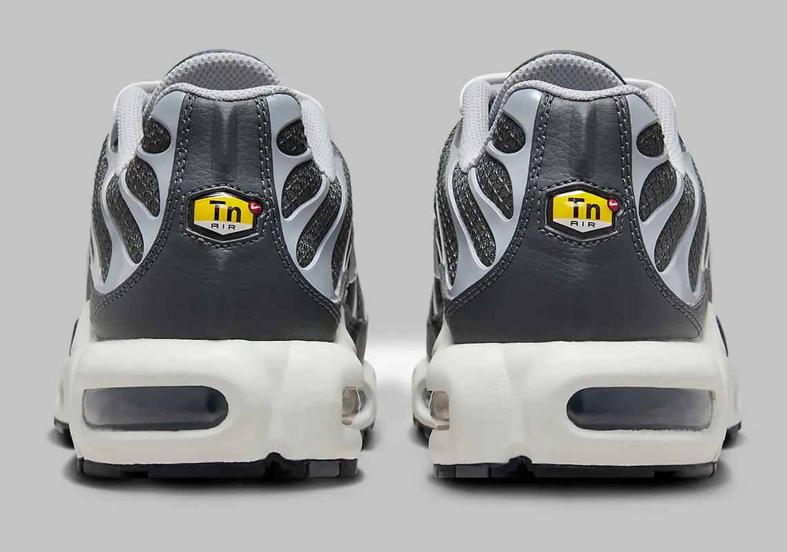 Giay Nike Air Max Plus 'Greyscale Cool Grey' DZ2655-001