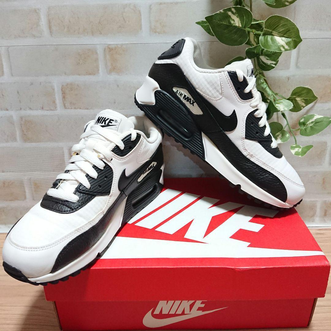 Giay Nike Air Max 90 'Panda' CN8490-101