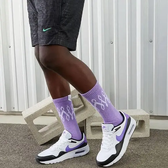 Giay Nike Air Max SC 'White Purple' CW4555-111