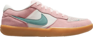 Giay Nike SB Force 58 'Pink Bloom' DV5477-600
