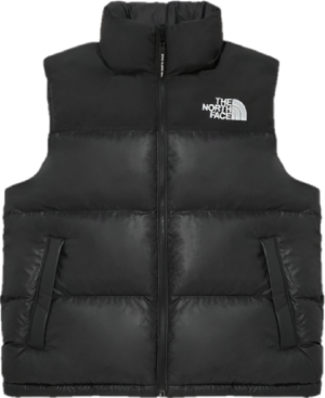 Ao The North Face 'Nuptse On Ball' NV3NP55D