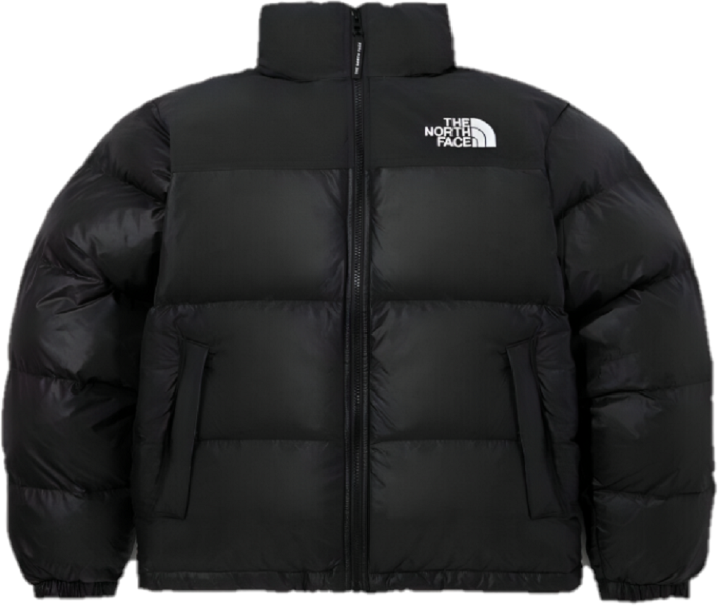 Ao The North Face 'Nuptse On Ball' NJ3NP55A