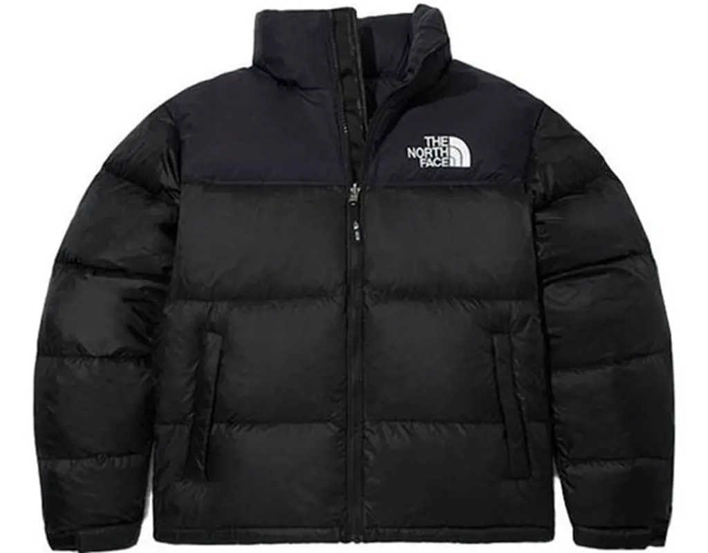 Ao The North Face 1996 Eco Nuptse ‘Black’ NJ1DN55A