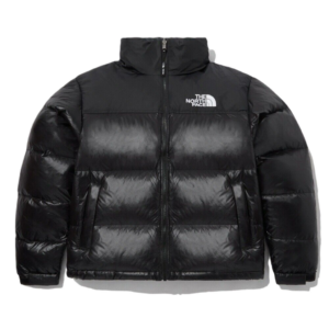 Ao The North Face 1996 Eco Nuptse Jacket 'Black' NJ1DP75C
