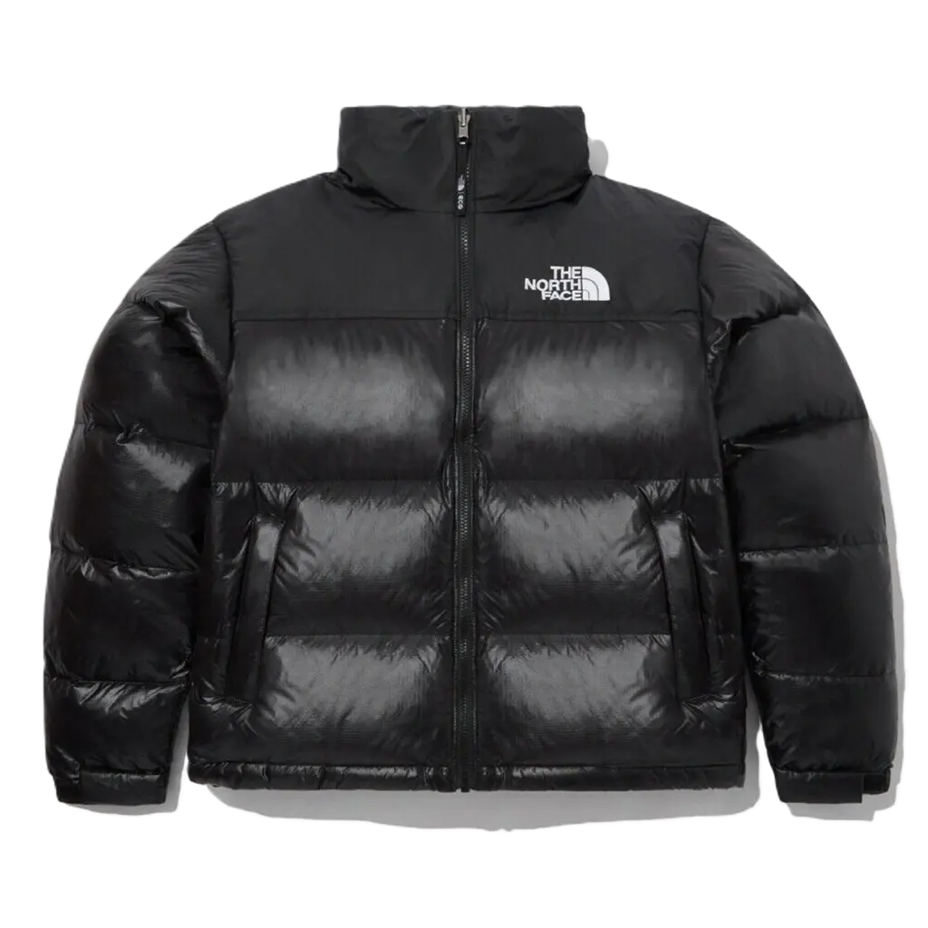 Ao The North Face 1996 Eco Nuptse Jacket 'Black' NJ1DP75C