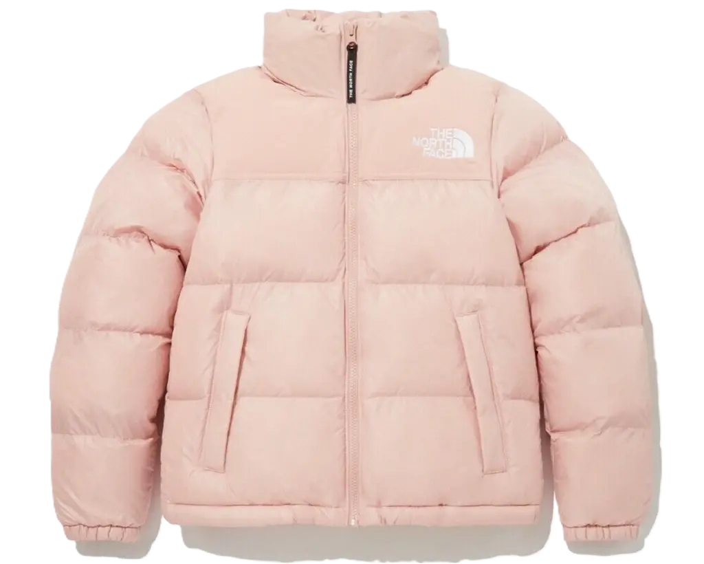 Ao The North Face FW23 'Pink' NJ3NP85C